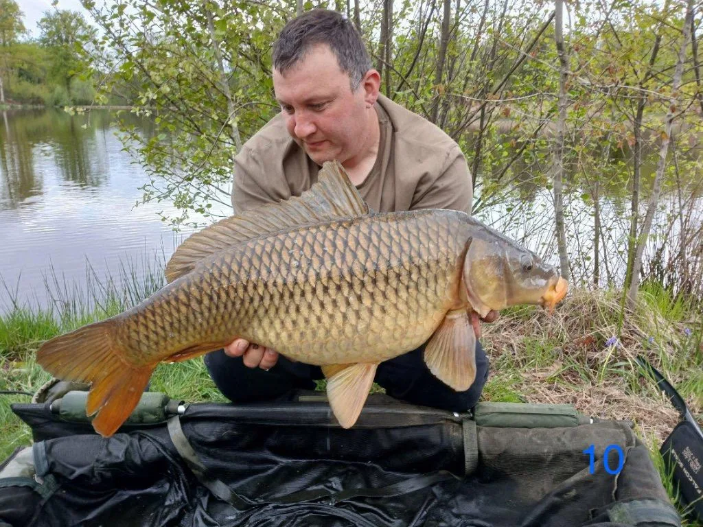 Les Succès de Pêche