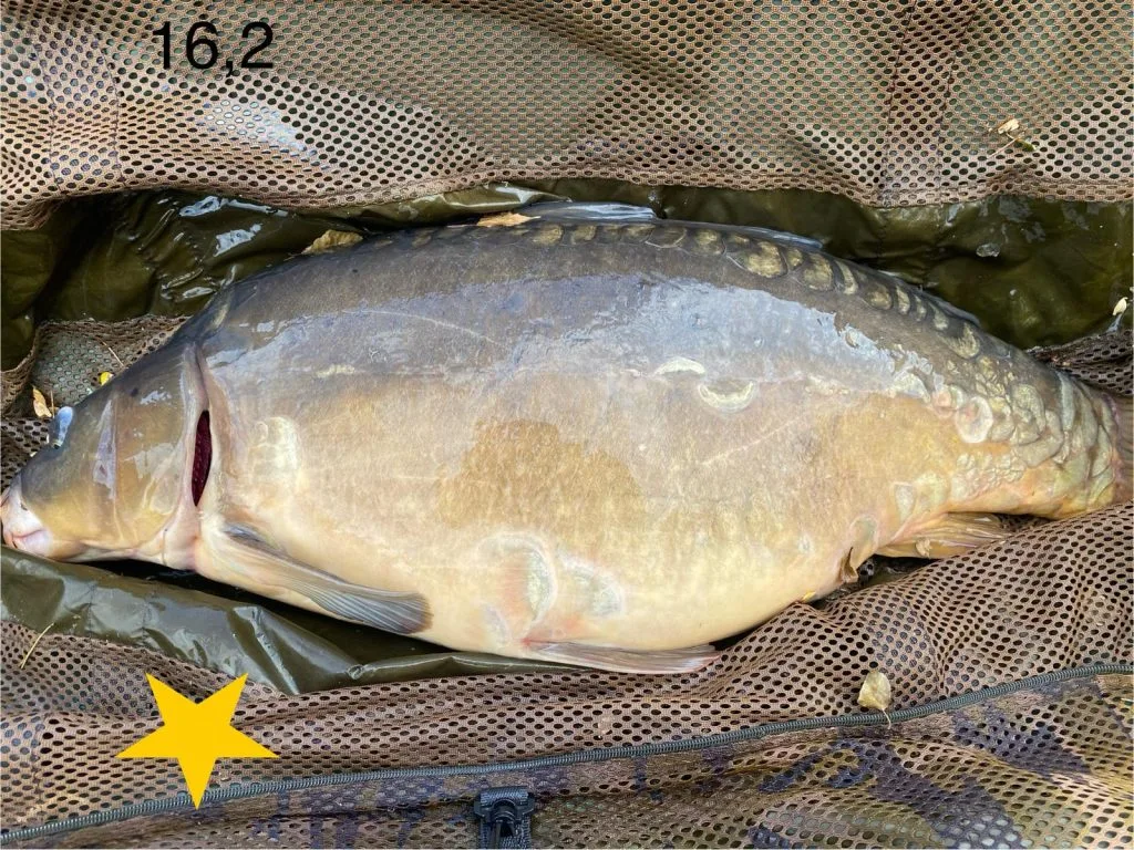 Les Succès de Pêche