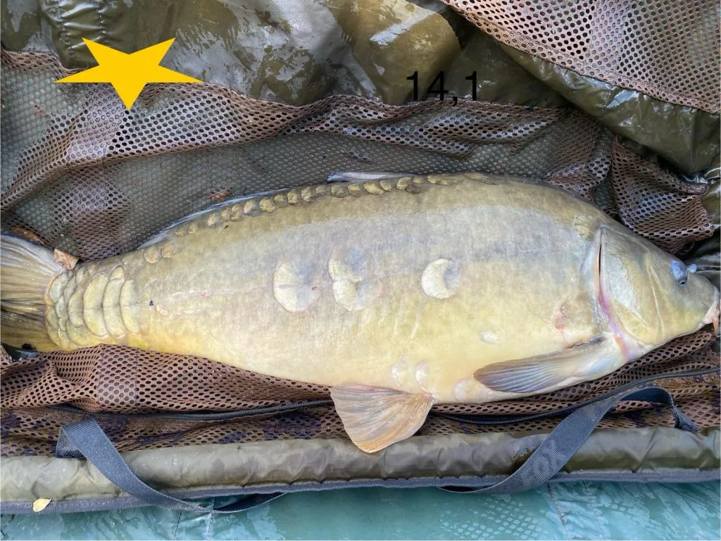 Les Succès de Pêche
