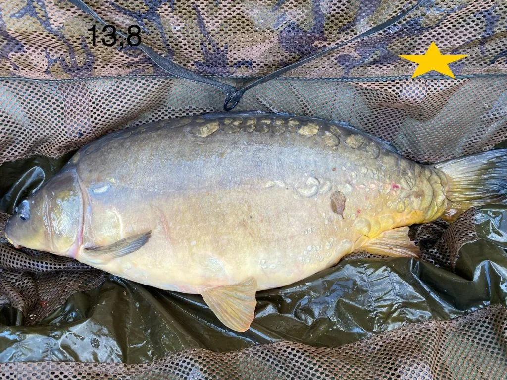 Les Succès de Pêche