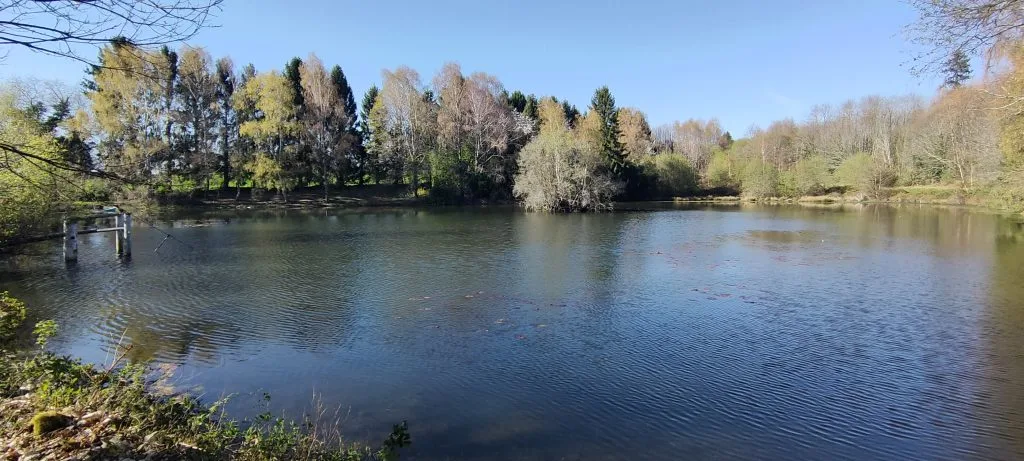 Expérience de Pêche à la Carpe
