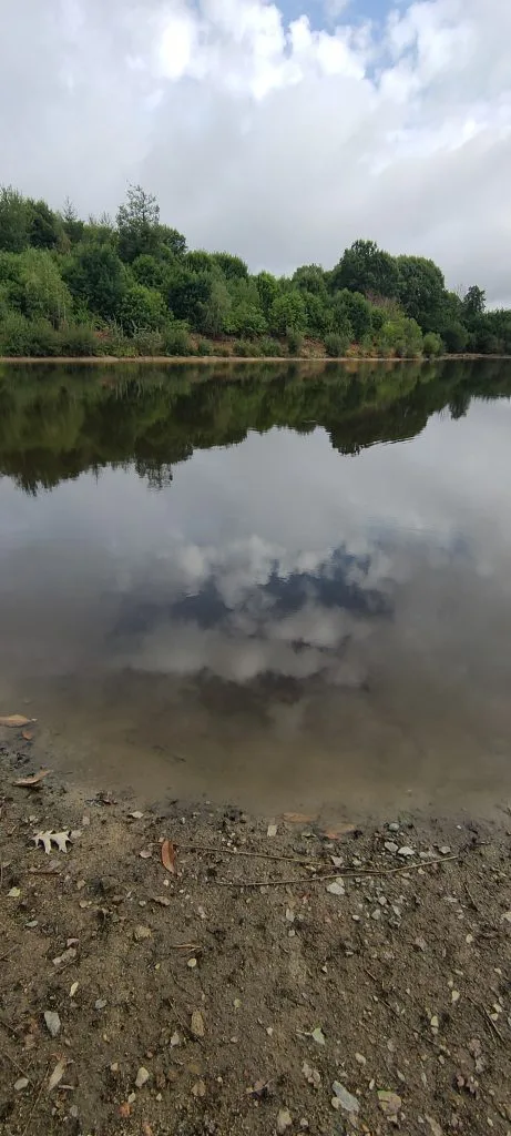 Expérience de Pêche à la Carpe