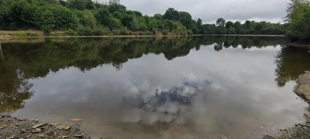 Expérience de Pêche à la Carpe