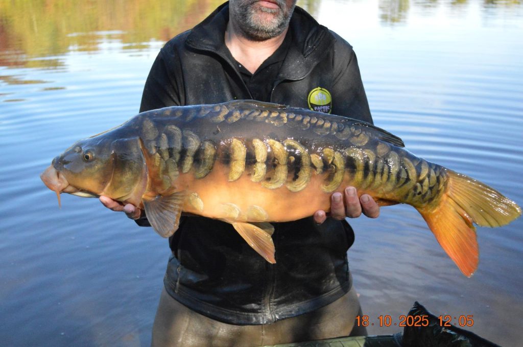 Les Succès de Pêche