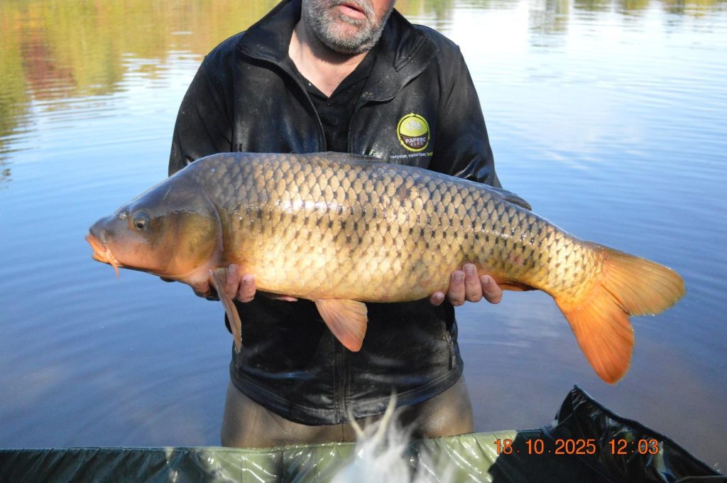 Les Succès de Pêche